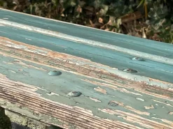 New Pamono French Public Garden Bench, 1950s