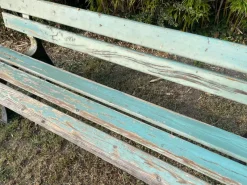 New Pamono French Public Garden Bench, 1950s