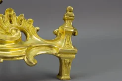 Pamono French Rococo Style Gilt Bronze and Iron Firedogs, 1890s, Set of 2><noscript><img width=