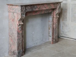 Pamono French Sarrancolin Marble Modillion Fireplace, 1890s><noscript><img width=