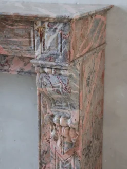 Pamono French Sarrancolin Marble Modillion Fireplace, 1890s><noscript><img width=