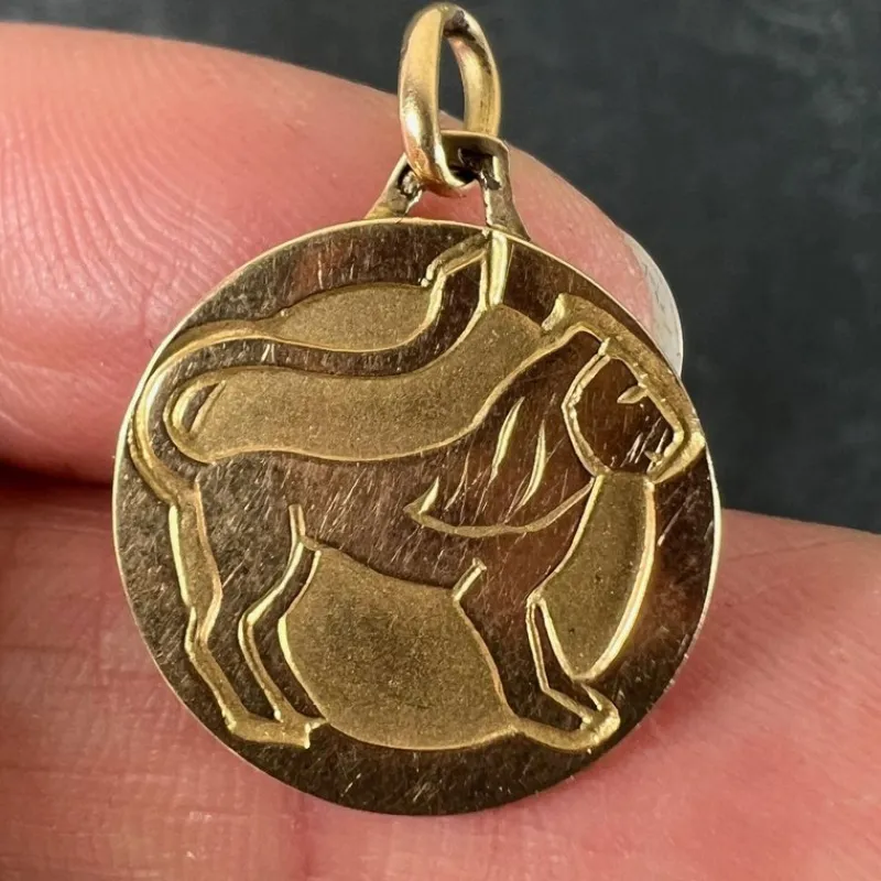 Pamono French Zodiac Leo Starsign 18k Yellow Gold Charm Medal Pendant, 1970s> Necklaces