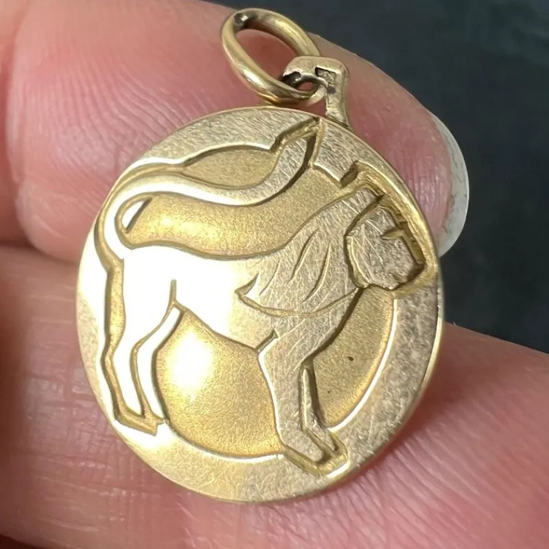 Pamono French Zodiac Leo Starsign 18k Yellow Gold Charm Medal Pendant, 1970s> Necklaces