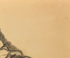 Pamono G. Vaccaro, La Contadina, 1865, Charcoal & Pencil on Paper><noscript><img width=