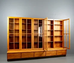 New Pamono German Bookcase Wall Unit from Holsatia, 1930s