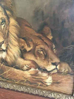 New Pamono Geza Vastagh, Lion and Lioness, 1900s, Oil on Canvas, Framed