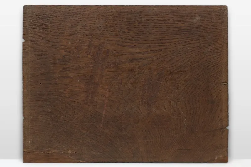 Pamono Gothic Sculpted Panel in Oak, Belgium, 1500s> Wall Decor