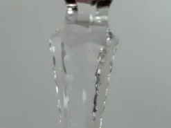 Pamono Grape Wine Glass by Römer for Nachtmann, 1970s