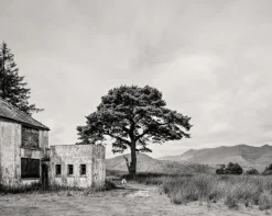 Pamono Guy Sargent, Killarney, Archival Pigment Print> Photography