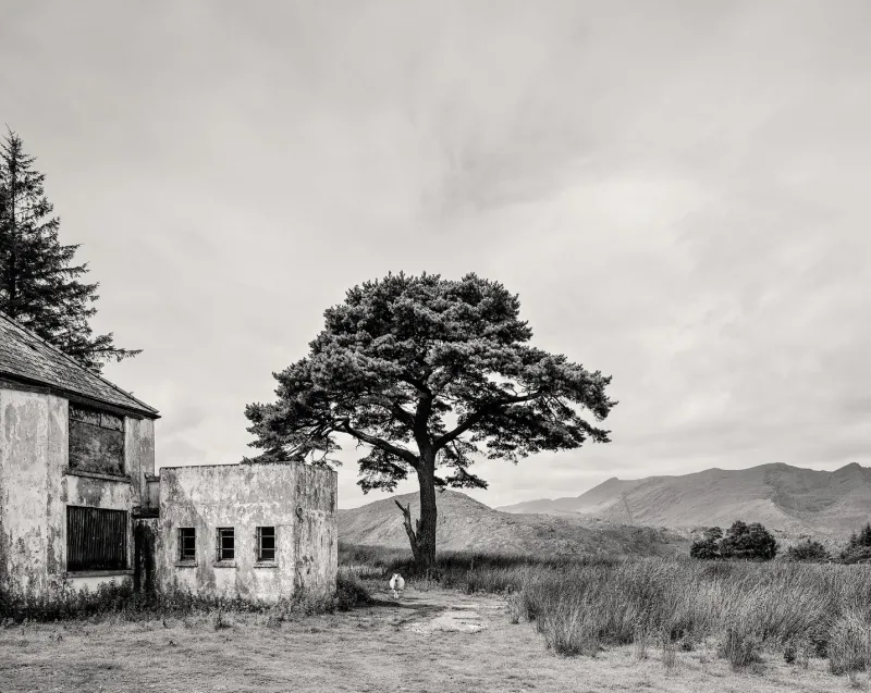 Pamono Guy Sargent, Killarney, Archival Pigment Print> Photography