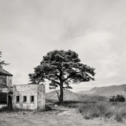 Pamono Guy Sargent, Killarney, Archival Pigment Print