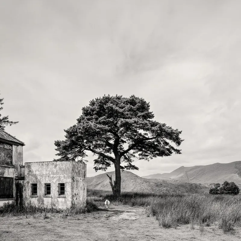 Pamono Guy Sargent, Killarney, Archival Pigment Print