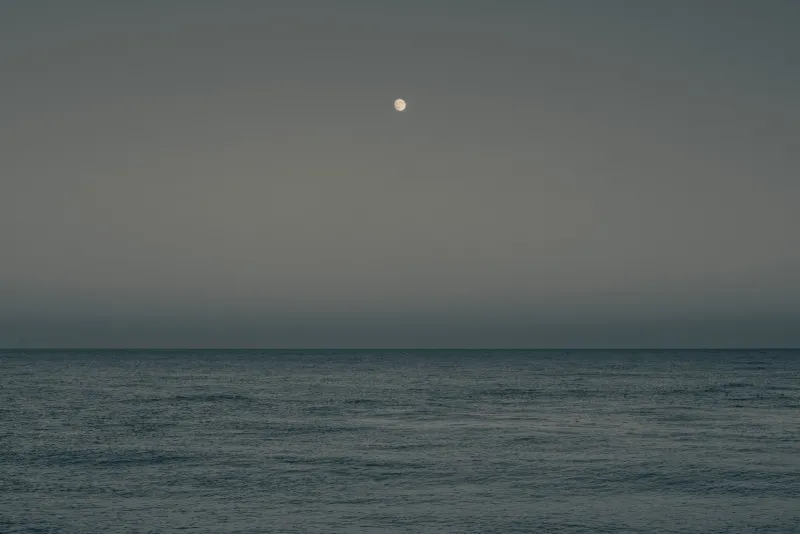 Hot Pamono Guy Sargent, Moonrise, Print