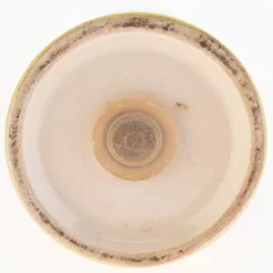 Pamono Hand-Painted Conical Ceramic Pottery Shaker by Clarice Cliff> Salt & Pepper Shakers