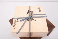 Best Pamono Hand-Painted Japanese Ceramic Bowl