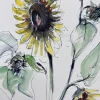 Outlet Pamono Hans Ott, Sunflower, 1968, Ink and Watercolor Drawing
