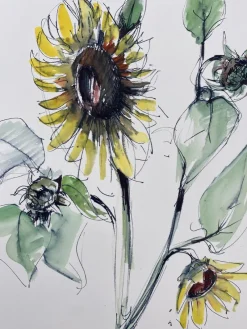 Outlet Pamono Hans Ott, Sunflower, 1968, Ink and Watercolor Drawing