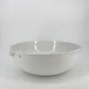 Pamono Huge Porcelain Laboratory Basin from Haldenwanger Berlin, Germany, 1950s> Bowls