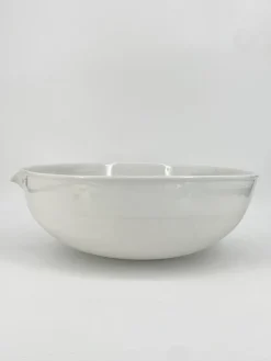 Pamono Huge Porcelain Laboratory Basin from Haldenwanger Berlin, Germany, 1950s><noscript><img width=