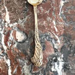 Pamono Ice Cream Spoons in Sterling Silver and Vermeil from Odiot, France, 19th Century, Set of 18><noscript><img width=