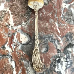 Pamono Ice Cream Spoons in Sterling Silver and Vermeil from Odiot, France, 19th Century, Set of 18><noscript><img width=