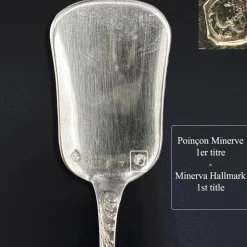 Pamono Ice Cream Spoons in Sterling Silver and Vermeil from Odiot, France, 19th Century, Set of 18><noscript><img width=