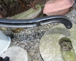 Pamono Industrial Cast Iron Water Pump, 1940s> Garden Accessories