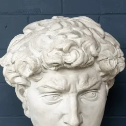 Pamono Italian Artist after Michelangelo, Head of David, 1990s, Plaster><noscript><img width=