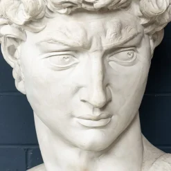 Pamono Italian Artist after Michelangelo, Head of David, 1990s, Plaster><noscript><img width=