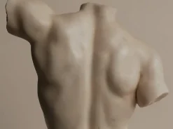 Online Pamono Italian Artist, Torso, 20th Century, Carrara Marble