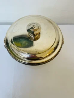 Hot Pamono Italian Ice Bucket in Silver from Macabo Milano, 1950s