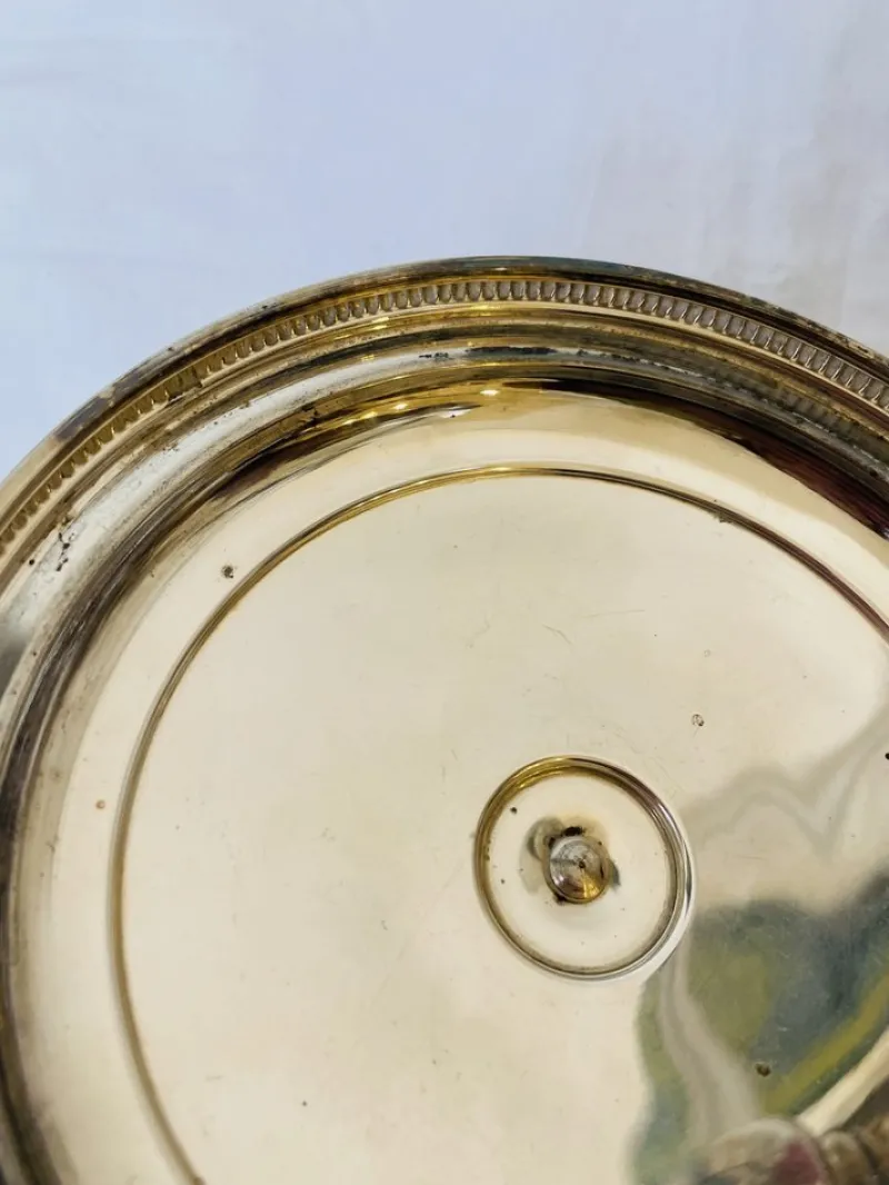 Hot Pamono Italian Ice Bucket in Silver from Macabo Milano, 1950s