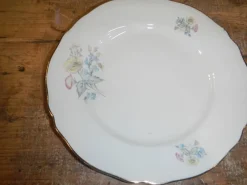 Pamono Italian Porcelain Tableware Set by Richard Ginori for Ariston, 1950s, Set of 15><noscript><img width=