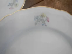Pamono Italian Porcelain Tableware Set by Richard Ginori for Ariston, 1950s, Set of 15><noscript><img width=