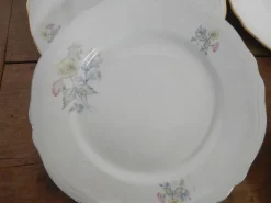 Pamono Italian Porcelain Tableware Set by Richard Ginori for Ariston, 1950s, Set of 15><noscript><img width=