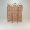 Pamono Italian Rattan and Wicker Room Divider, 1960s> Room Dividers & Screens