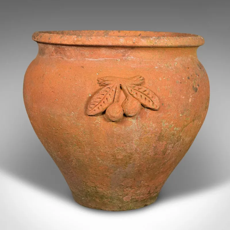 Pamono Italian Terracotta Olive Tree Planter, 1950s> Planters And Jardiniere