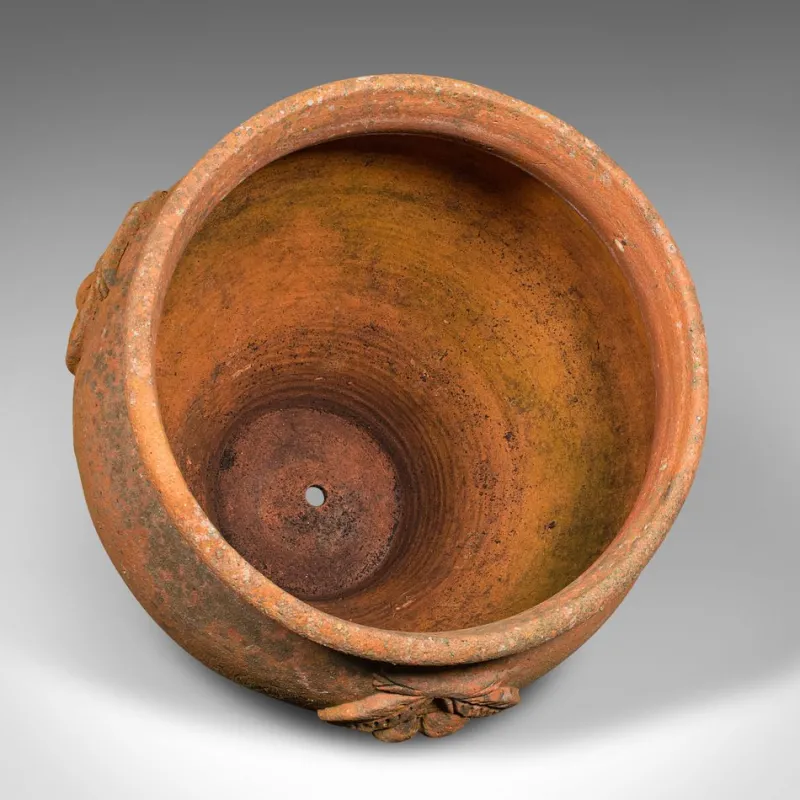 Pamono Italian Terracotta Olive Tree Planter, 1950s> Planters And Jardiniere