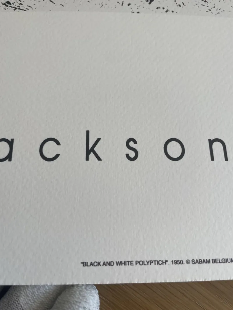 Best Pamono Jackson Pollock, Black and White Polyptych, Silk-Screen