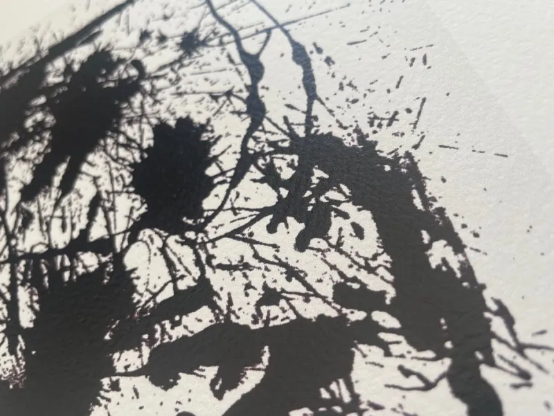 Best Pamono Jackson Pollock, Black and White Polyptych, Silk-Screen