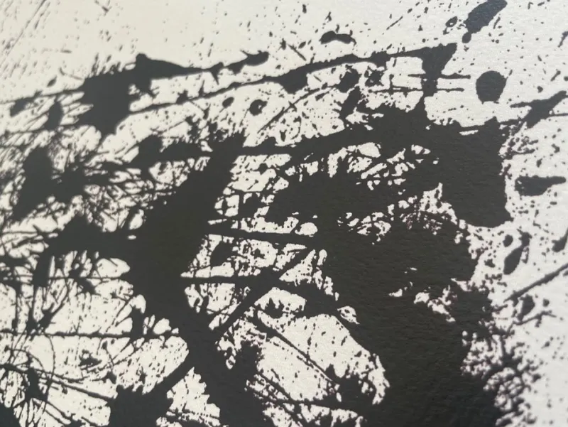 Best Pamono Jackson Pollock, Black and White Polyptych, Silk-Screen