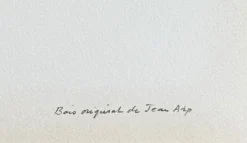 Pamono Jean Arp, Abstraction, Original Woodcut><noscript><img width=