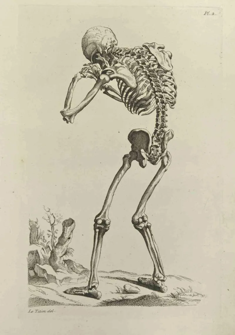Pamono Jean François Poletnich, Skeleton after Titian, Etching, 1755> Old Masters