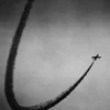 Online Pamono Jet Lag - Original Photography Signed by Cyrille Druart 2018