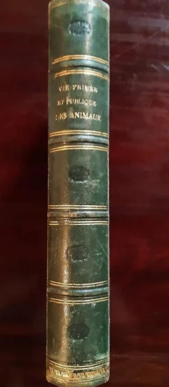 Best Pamono JJ Grandville, Privacy and Public Animal, Illustrations, 1868
