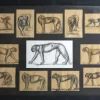 Pamono Johan Etiennette, Panther, Pastel Sketches on Paper, Framed> Mid-Century