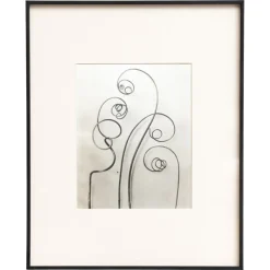 Clearance Pamono Karl Blossfeldt, Natural Grace, 1942, Photogravure, Framed