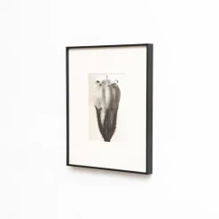 Pamono Karl Blossfeldt, Natural Grace, 1942, Photogravure, Framed><noscript><img width=