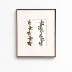 Pamono Karl Blossfeldt, Natural Grace, 1942, Photogravure, Framed><noscript><img width=