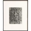 Pamono Karl Blossfeldt, Natural Grace, 1942, Photogravure, Framed